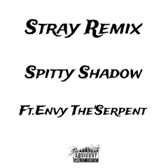 Stray Remix (Ft.Envy The’Serpent) (Prod.2Souls)