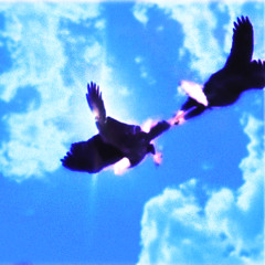 Walking With A Memory