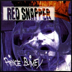 The Paranoid (short Remix)