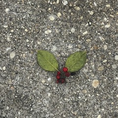 vine 3 no tape - 1:12:25, 3.23 AM