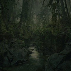 Nature Matters