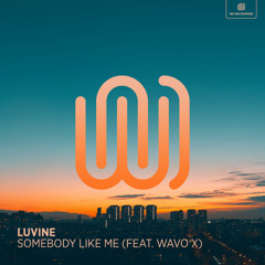 Somebody Like Me (feat. WAVO X)