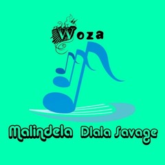 Woza [Original Mix].mp3