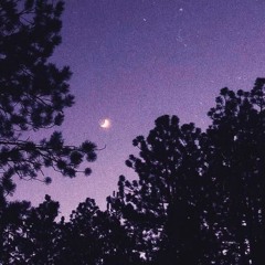 Demi Lovato, Joe Jonas - This Is Me [TWLGHT EDIT]