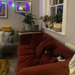 Nothing Left to Say-Live (demo)