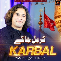 Karbala Ja Ke - Yasir Iqbal Heera - 2023 | Qasida Mola Hussain A.s