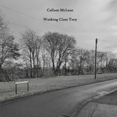 Working Class Tory