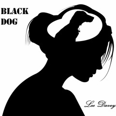 Black Dog