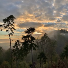 Ninelz-schneckno (snippet)