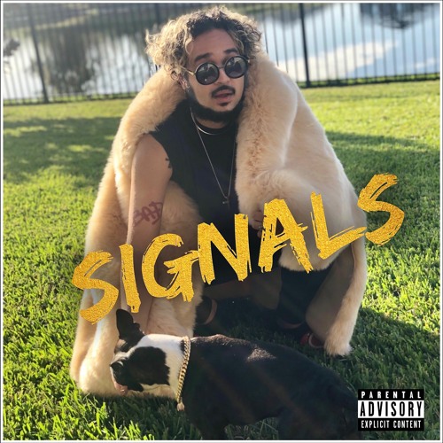 DJ Put !n Tune - SIGNALS - (IG @dj_putintune)