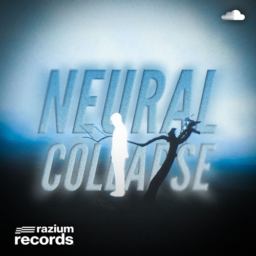 Neural Collapse