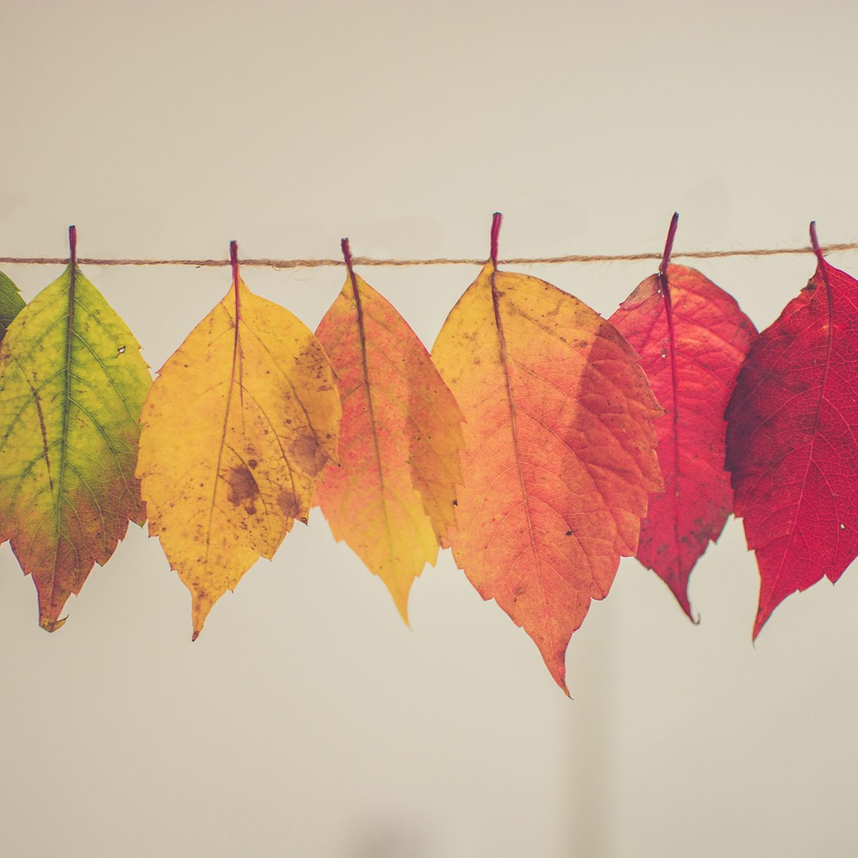 Strength in the Midst of Change