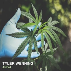 Tyler Wenning- Aniva (Original Mix)