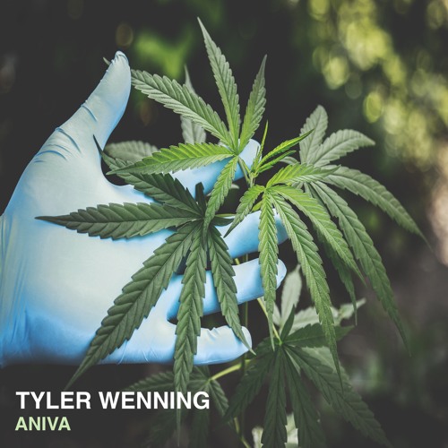 Tyler Wenning- Aniva (Original Mix)