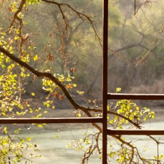 Sign Libra - Intro / Tropical Plantarum