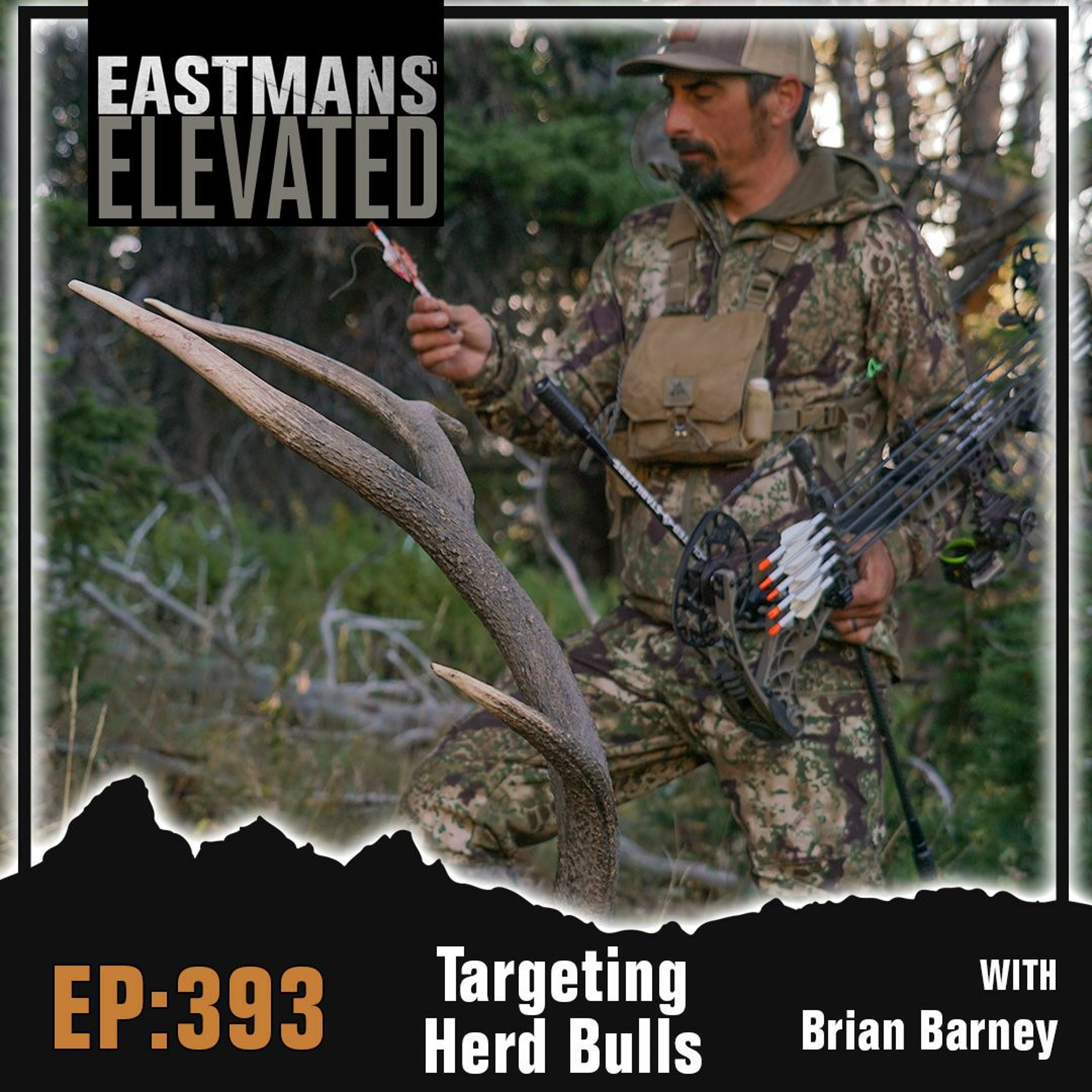 Episode 393:  Targeting Herd Bulls Solo With Brian Barney