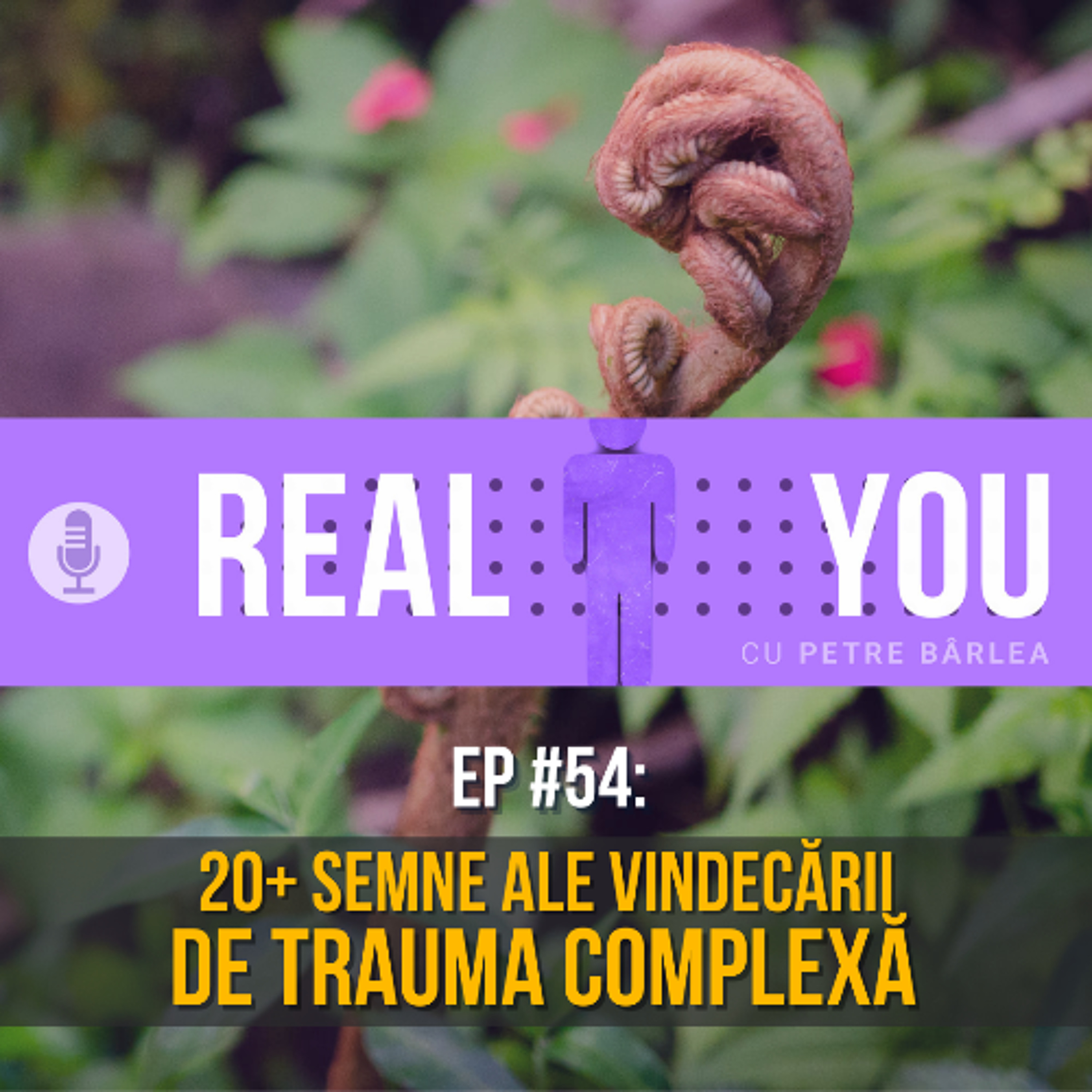 The Real You Podcast cu Petre Barlea