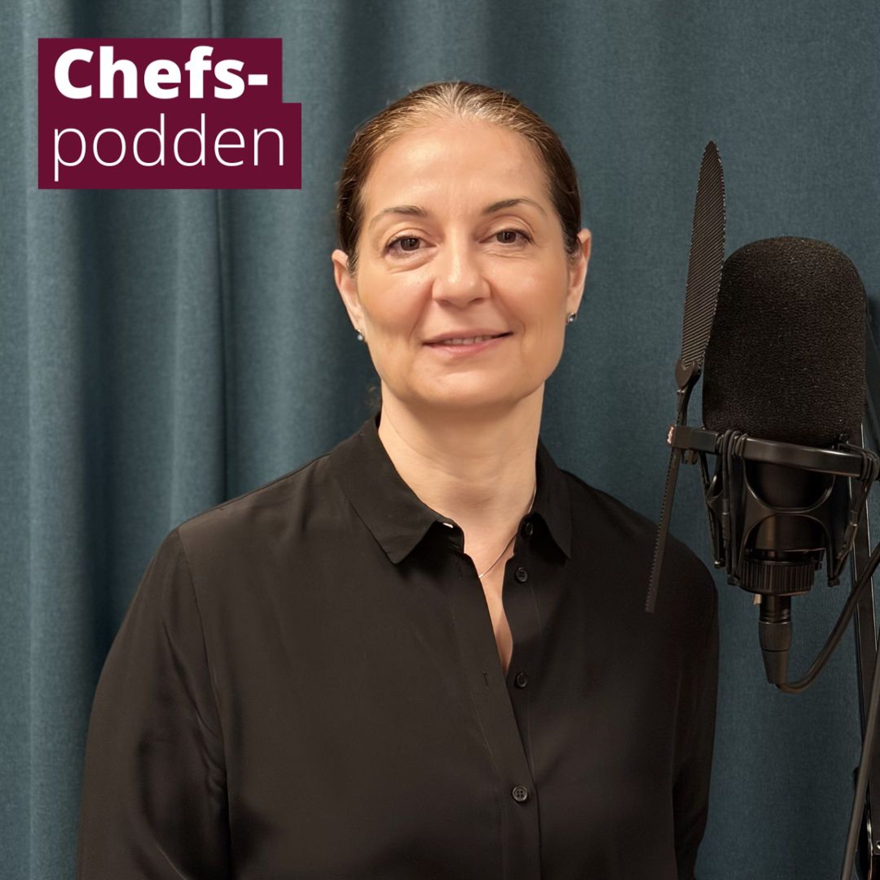 Lena Hadad om tystnadskulturer, konflikthantering och polis-HR