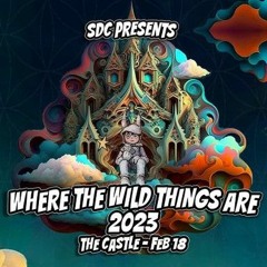 Where The Wild Things Are 2023 (Dj Set)
