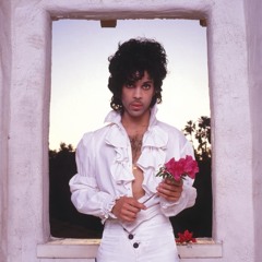 I Never Forgot Prince (Part 2)