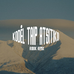 Kodėl Taip Atsitiko (RUDOK Remix)