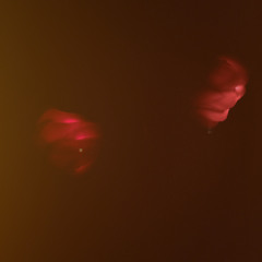 pesadj 301024