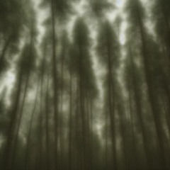 Pine Forest (Raw Beat)