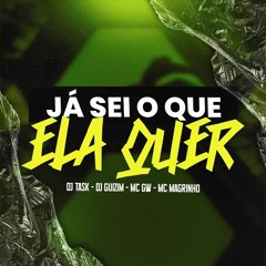 MTG - JA SEI OQUE ELA QUER - MC MAGRINHO, GW