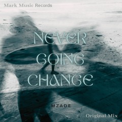 Mzade - Never Going Change