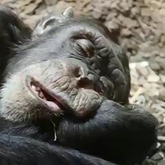 в зал