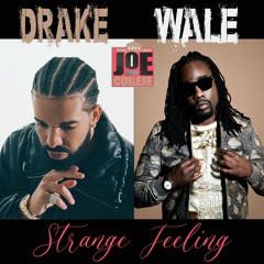 Drake x Wale - "Strange Feeling" Type Beat