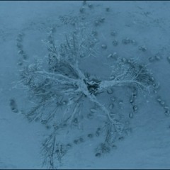 Heart of Winter