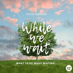 While We Wait - Pieter Weenink(Stellenbosch)