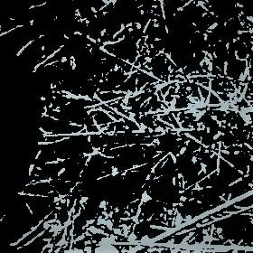 Untitled | 5.16.2020.
