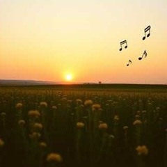 Gratitude Rises