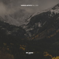 3AVLP090 | V. A. - Best of 3rd Avenue | Fall 2025