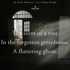 Green ghost (naviarhaiku483)