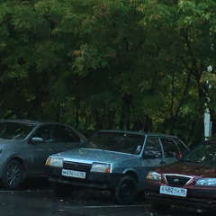 Че за суета ?🥀🐅