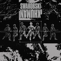 SWAROBSKI - DAMAGE 2