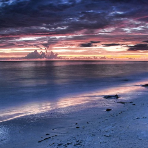 Sense of L1fe - Beach