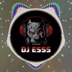 DJ ESSS GALLI BEWAFAA REMIX