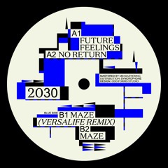 CRF015 - 2030 - No Return