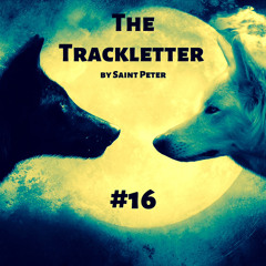Saint Peter - The Trackletter #16 (Day)