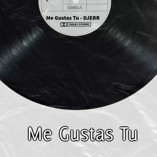 Me Gustas Tu - DJERR