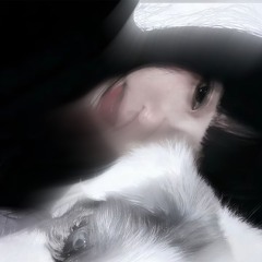 Widow (prodbykhrxmx)