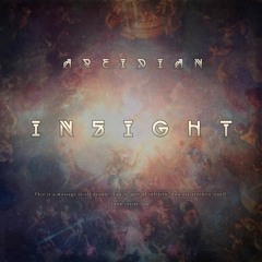 AREIDIAN - INSIGHT