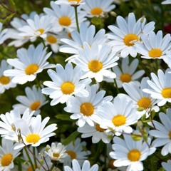 İlayda ft. Docend - Ben Kalbimin Orta Yerine Seni Yazdım slowed remix by DaTiE