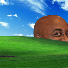 swellow - simpul (individual distortion edit cie)