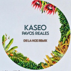 De La Hoz, Kaseo - Pavos Reales (Acapella Remix)