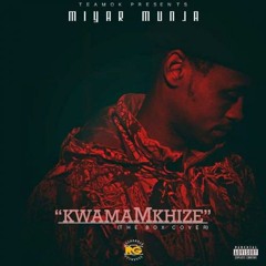 KwamaMkhize (The Box Cover) (clean)